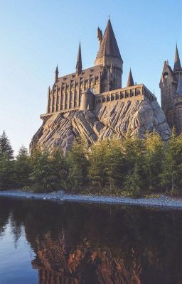Hogwarts Couples Diaries