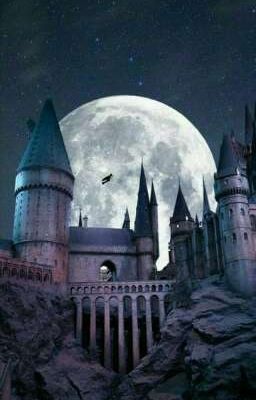 [Hogwarts] «Divination; Charms»