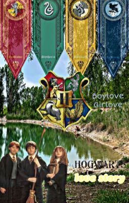 Hogwarts Love Story [HP]