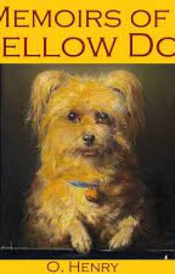Hồi ức chú chó vàng-Memoirs of a Yellow Dog