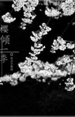  [ Hokage ] Sakura Khuynh Nhất quý 