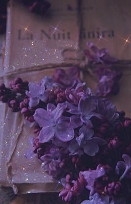 [Honkai Star Rai x Reader]Lavender