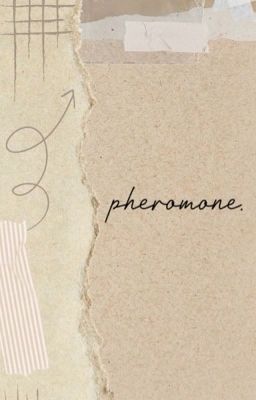 • hoonsuk • pheromone