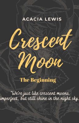 [HP]  Crescent Moon  - The Beginning