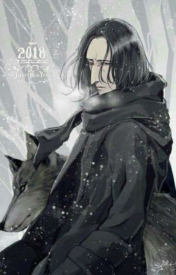 [HP Đồng Nhân]: Happy Birthday Severus. 