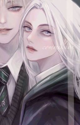 [HP] Draco Malfoy centric