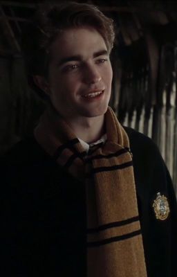 [HP] Hufflepuff with Slytherin? Not bad 