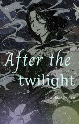 [HP-LVSS] After the Twilight.