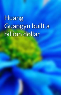 Huang Guangyu built a billion dollar