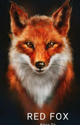 Huyết hồ ly (RED FOX)