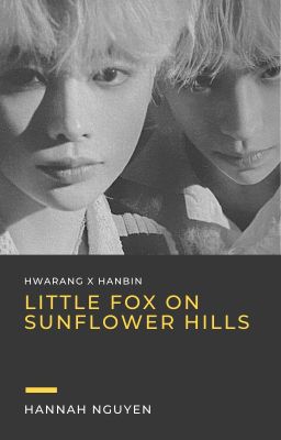 [HwaBin] Little fox on sunflower hills