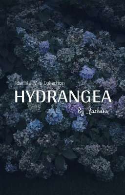 [IdentityV] Hydrangea [Oneshot Collection] 