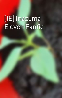 [IE] Inazuma Eleven Fanfic