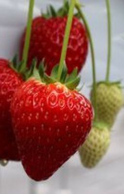 (IzanaxMikey) Strawberry