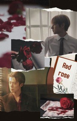 [Jaeren/Jayren|Threeshots] Red rose (Favorite)