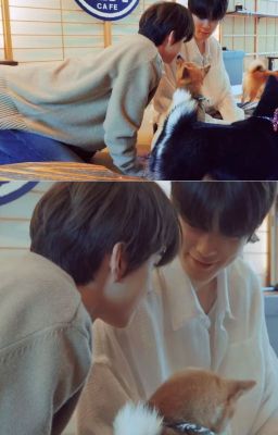 [Jaewoo] Cún con anh yêu nhất I Jaehyun & Jungwoo