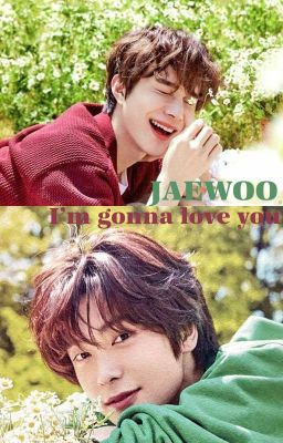 JaeWoo - I'm gonna love you