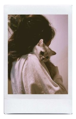 jensoo | cuddly kitten