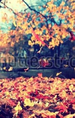 [JIHAN][SHORTFIC] Autumn.