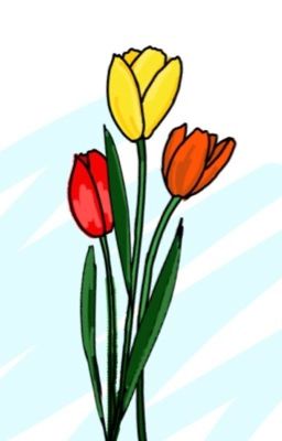 [Kacchako] Tulips' Color