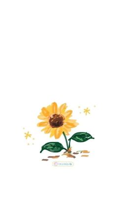 | Kaiisa | Hoa Hướng Dương Luôn Hướng Về Mặt Trời 