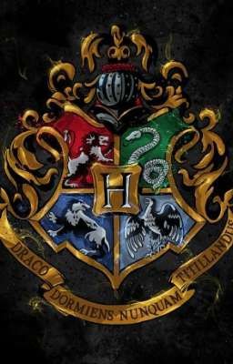 [ kamen Rider và Harry Potter ] xuyên không thành học sinh Hogwarts 