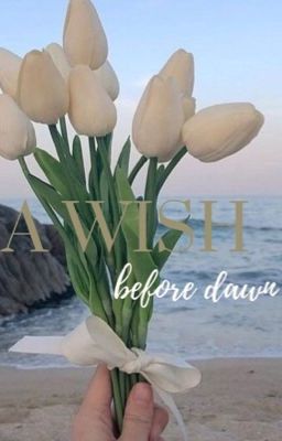 •kepat• a wish before dawn