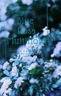 /Kha Hoàn//zky.rkmr/ Blue rosa multiflora
