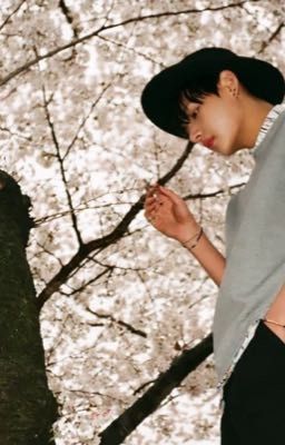 |Kim Taehyung| |Đoản văn| Người đưa cánh hoa tới
