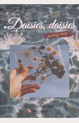  『 Kookmin 』 || Daisies, daisies (feeling hazy)