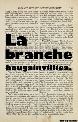 【La Branche Bougainvilliea】 | DRAKEY|