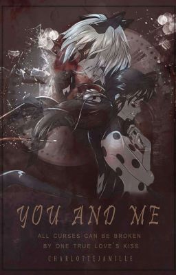 [Ladybug PV Fanfiction] You and me.