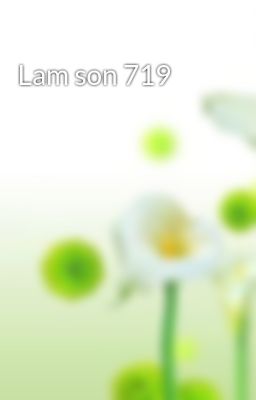 Lam son 719