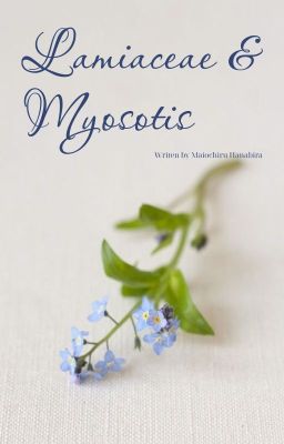 Lamiaceae & Myosotis
