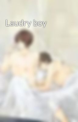 Laudry boy