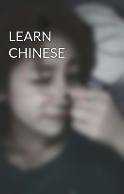 LEARN CHINESE