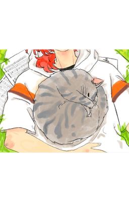 [LeoIzu] Con mèo ngủ vùi