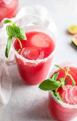 [LnD][R16][Oneshot][LiShen x Reader] Watermelon Juice