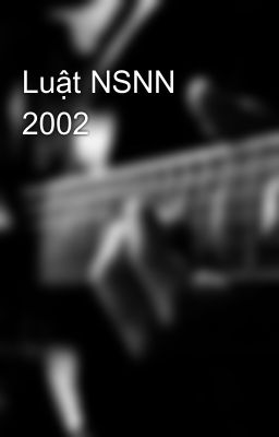 Luật NSNN 2002