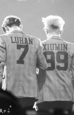|LuMin|.|Luhan×Xiumin|. We ARE Crazy! (In Love)