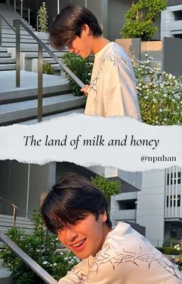 MarkOhm - The land of milk and honey