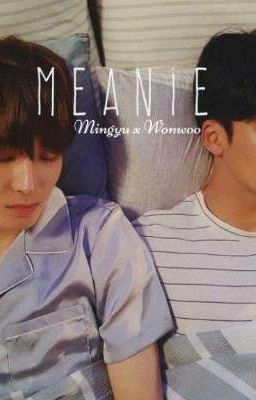  [Meanie] (H) I'm in love with you!!! (Hoàn)