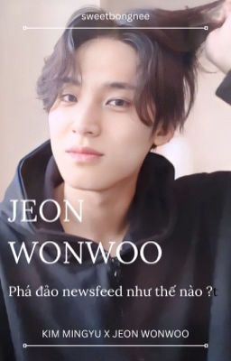 |Meanie| Jeon Wonwoo phá đảo newsfeed như thế nào ?
