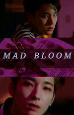[Meanie] Mad Bloom - Điên Cuồng Nở Rộ