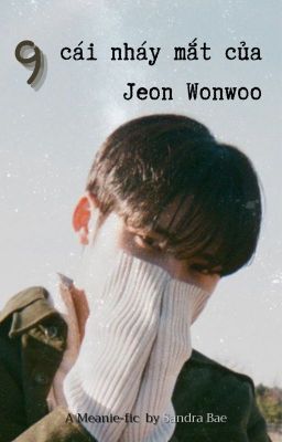 [Meanie/Minwon] 9 Cái Nháy Mắt Của Jeon Wonwoo