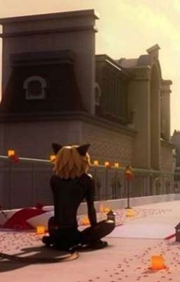 [Miraculous Fanfiction] Whoever you are beneath that mask, I still love you.
