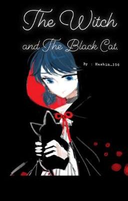 [ Miraculous Ladybug ] The Witch and The Black Cat.