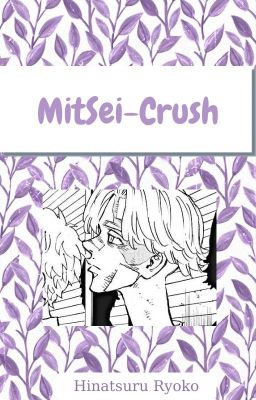 MitSei - Crush