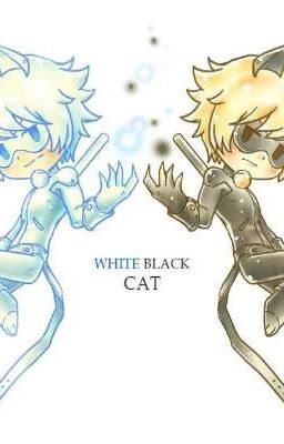 [MLB FANFIC ONESHORT] WhiteBlack Cat