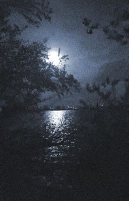 moonlight | DaeRin